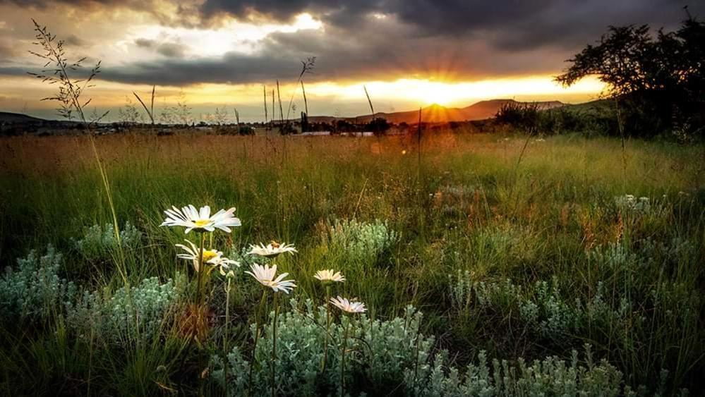 Wetlands Country House & Sheds Wakkerstroom Exterior photo