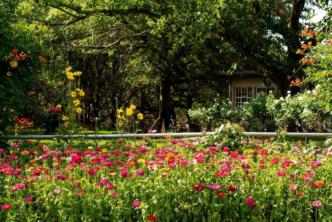 Wetlands Country House & Sheds Wakkerstroom Exterior photo