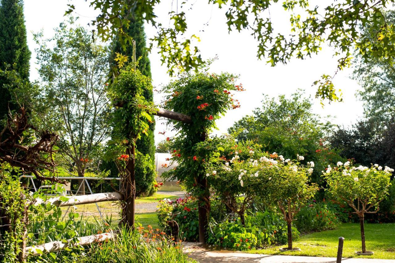 Wetlands Country House & Sheds Wakkerstroom Exterior photo